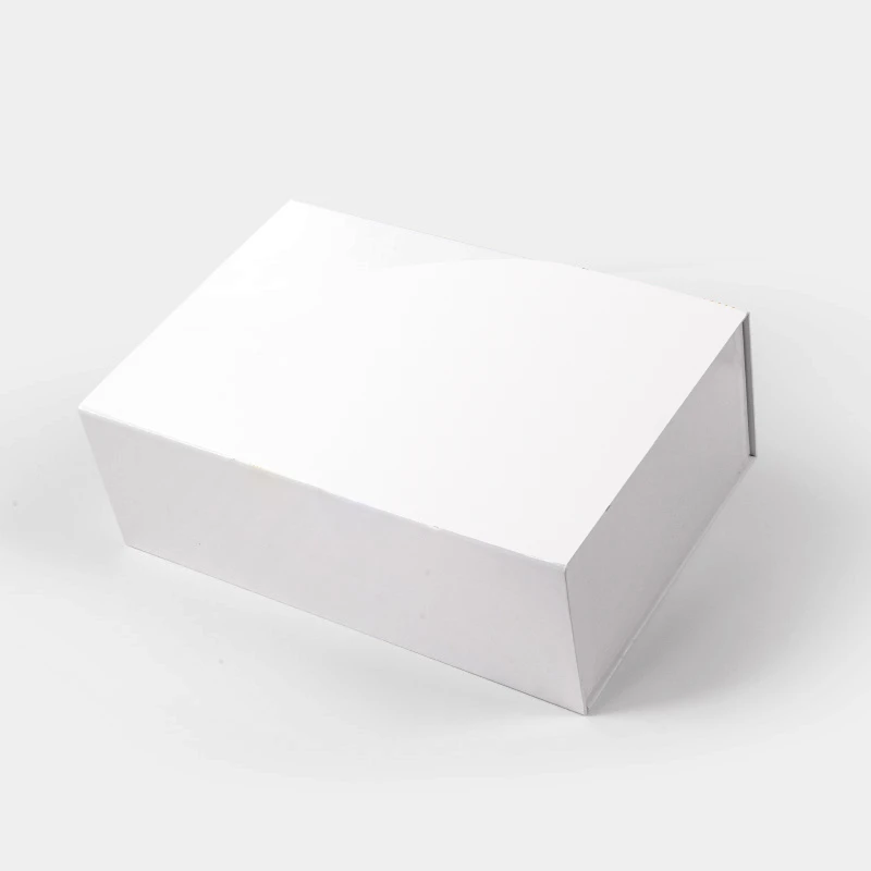 Flip Top Magnetic Lock